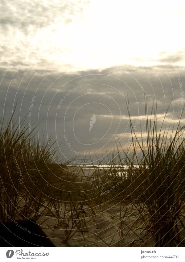 Sunset Beach Ocean Schleswig-Holstein Romance Clouds Nature Landscape Water