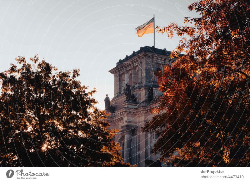 Reichstag in the morning in autumn III Downtown Berlin Sandstone Concrete Central perspective Abstract Pattern Structures and shapes Morning Beautiful weather