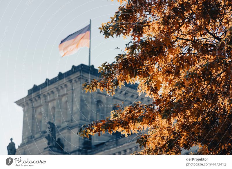 Reichstag in the morning in autumn II Downtown Berlin Sandstone Concrete Central perspective Abstract Pattern Structures and shapes Morning Beautiful weather