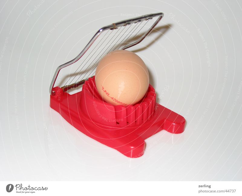 Best Egg Slicer Royalty-Free Images, Stock Photos & Pictures