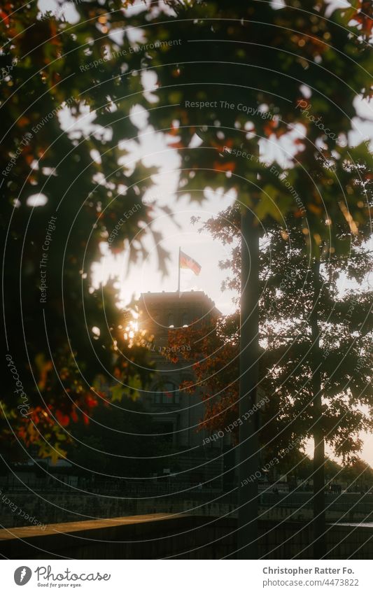 View through leaves at the Reichstag building Bundestag Berlin Downtown Berlin Democracy Parliament choice BTW21 btw2021 Exploratory talks Elections Sunlight