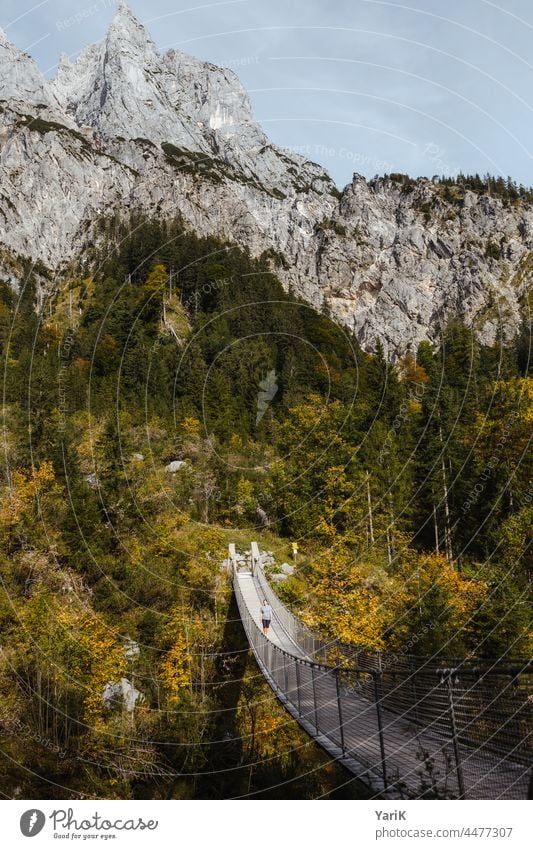 suspension bridge Suspension bridge Bridge Peak mountains Alps mountain sptize Point pointy Traverse Hiking hike Relaxation relaxation vacation outdoor Nature