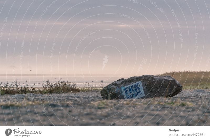 Rock on the beach with inscription 'FKK Bereich' in the early morning NUDISM Nudist beach Beach Morning Dawn Morning fog Summer Ocean Naked Nature Day Naturism