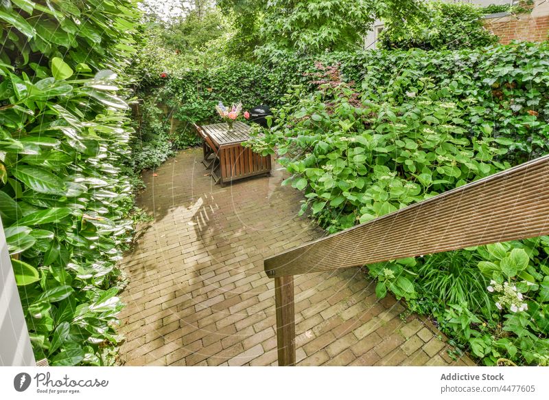 Courtyard with vivid lush greenery backyard courtyard patio garden terrace plant chair sunlight empty colorful bush property day foliage brick wall sunshine