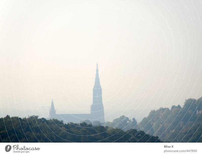 Ulm Cathedral Fog Forest Town Skyline Church Dome Manmade structures Architecture Tourist Attraction Landmark Monument Gigantic Tall Religion and faith