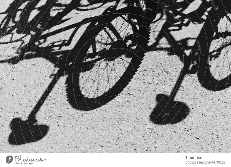 Bicycle shadows Shadow Ground bicycles Bicycle tyre Bicycle saddle Cycling Leisure and hobbies Parking Mobility Transport Deserted Black & white photo Spokes
