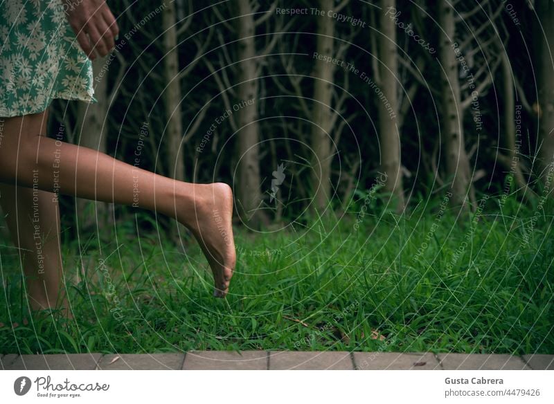 Legs walking on the grass, with trees in the background. Barefoot Trees Walking Tread Feet Grass Green Exterior shot Colour photo conceptual Toes Relaxation