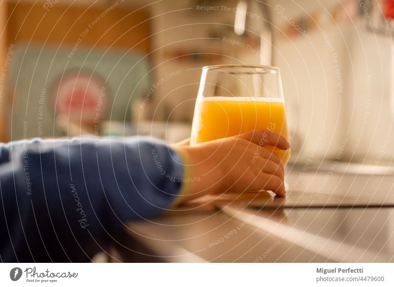Child's hands grabbing a crystal glass with orange juice on the kitchen counter. child drink breakfast beverage vitamin fruit citrus food fresh healthy cold