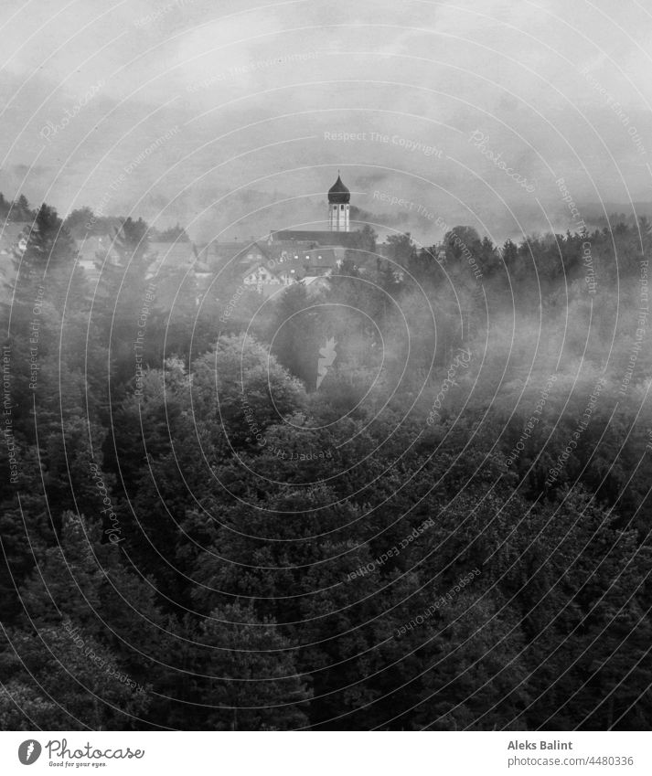 Fog in dense forest on the Alb with a small village in the background in black and white Foggy landscape mountain Forest Kleinesdorf Landscape Exterior shot