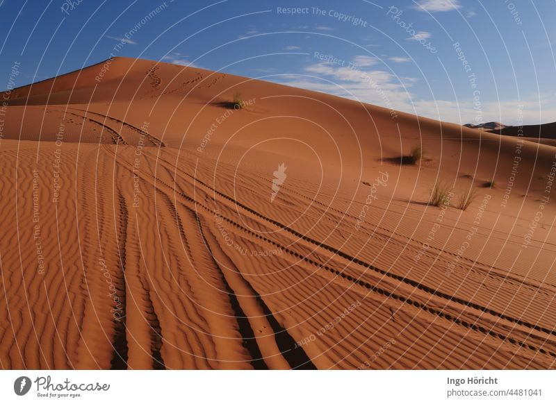 High dune of orange-red sand, above blue sky with white clouds. Tracks of off-road vehicles from the bottom of the picture to the top of the dune. Sand Nature