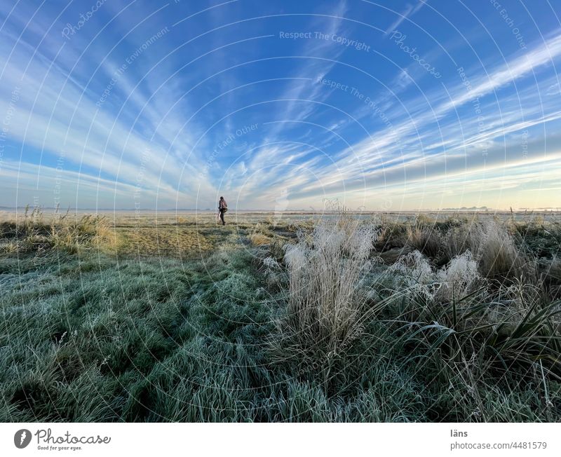 UT Teufelsmoor l Woman in the Moor devil's mire Frost Landscape Nature Sunrise Colour photo Sunlight Ice Morning Cold Human being Sky wide