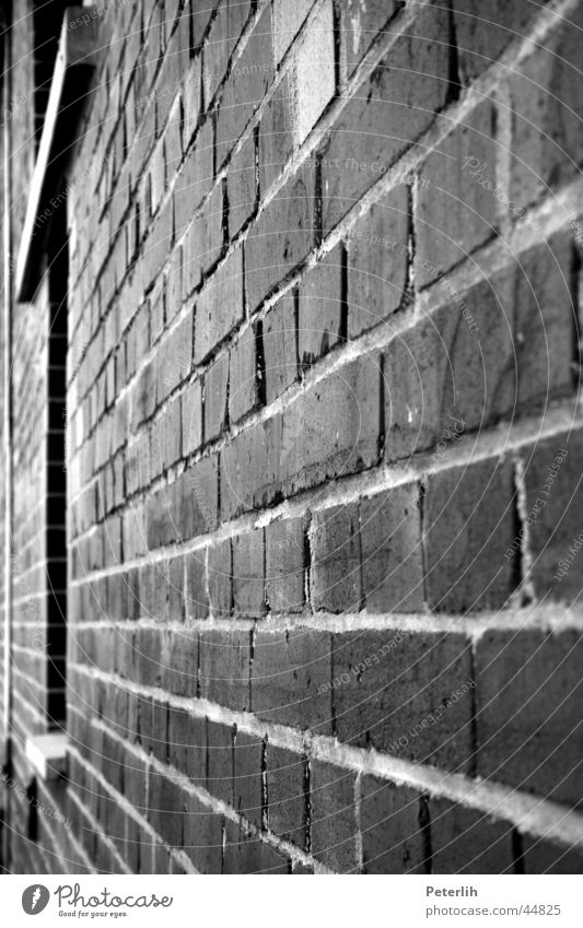 The Wall Wall (barrier) Academic studies Wall (building) Brick Window Vanishing point Black White Architecture Münster
