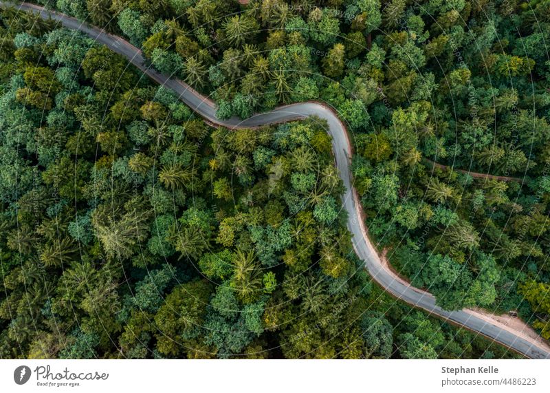 A bending road from above leading through a green forest. Drone shot for wallpapers, top down from above aerial shot in the late summer. curvy street special