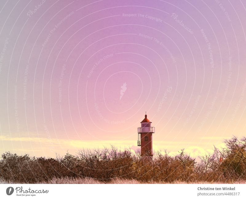 Lighthouse behind dune grass and bushes in retro colors Marram grass Bushes Sky Retro Colours Baltic Sea Island Poel Island Timmendorf/Island Poel