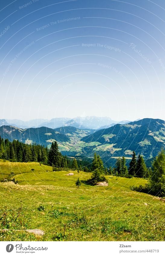 Wildschönau Vacation & Travel Trip Freedom Summer Summer vacation Nature Landscape Cloudless sky Tree Meadow Forest Alps Mountain Peak Gigantic Natural Blue