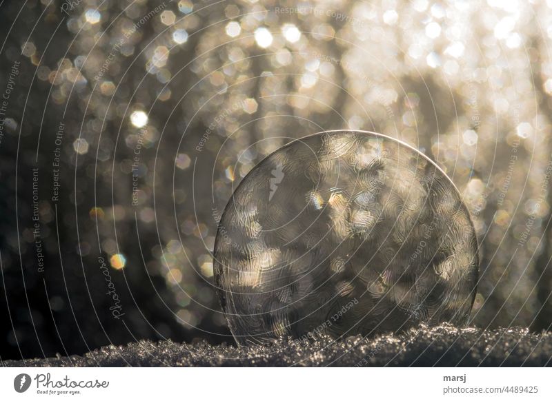When the bubble bursts, all that's left is the bokeh and the snow on which the bullet rests. Soap bubble Mottle bokeh lights background Decoration
