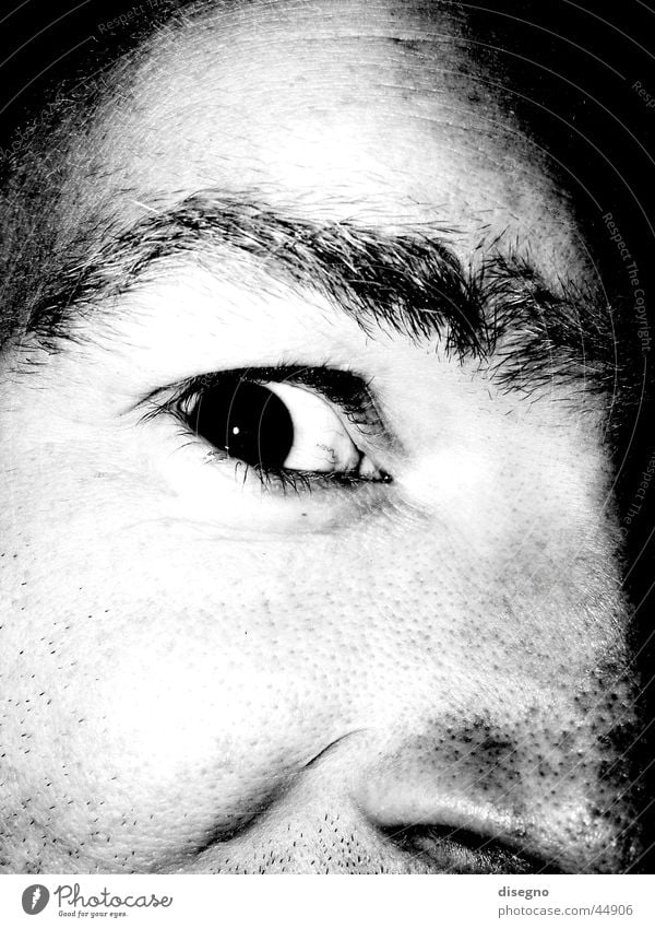 the kohnic eye Masculine Eyebrow Man Eyes freaky Black & white photo Face Nose