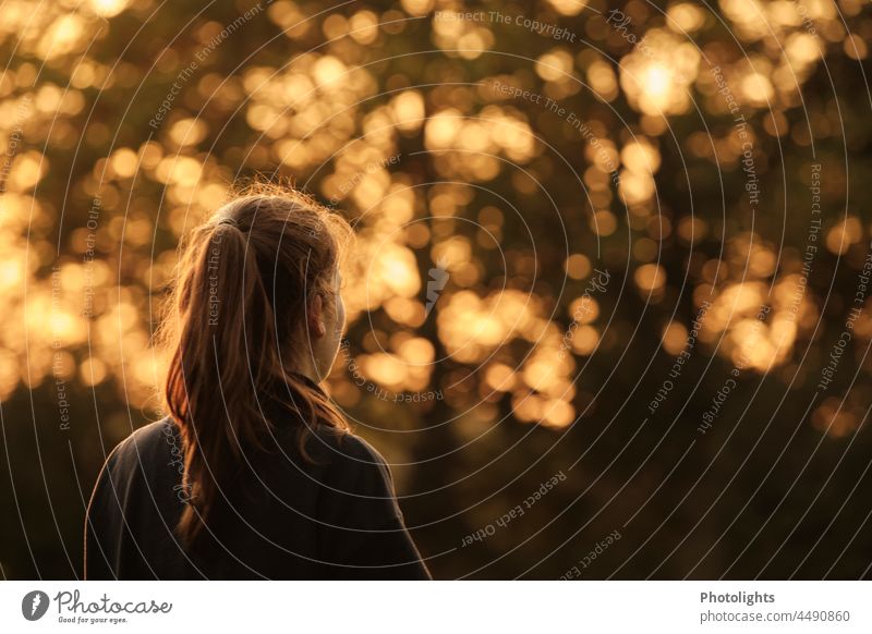 Back view of young woman with ponytail at sunset in warm colors Rear view Twilight Exterior shot Colour photo Contentment Life Idyll Relaxation Interest