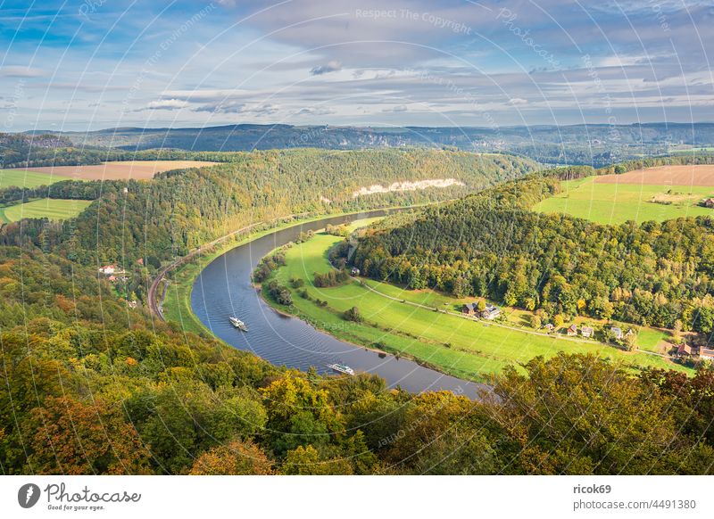 View over the Elbe to Saxon Switzerland Elbsandstone mountains Field Meadow River Tree Forest Saxony Nature Landscape Autumn steamer Excursion boat Rock Water