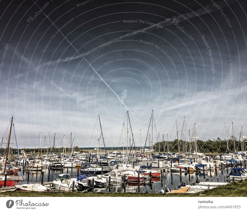 Sailboats in the marina sky Clouds Sky Harbour sailboats masts Berth Sailing ship Pole wanderlust Navigation Yacht harbour Vacation & Travel Water