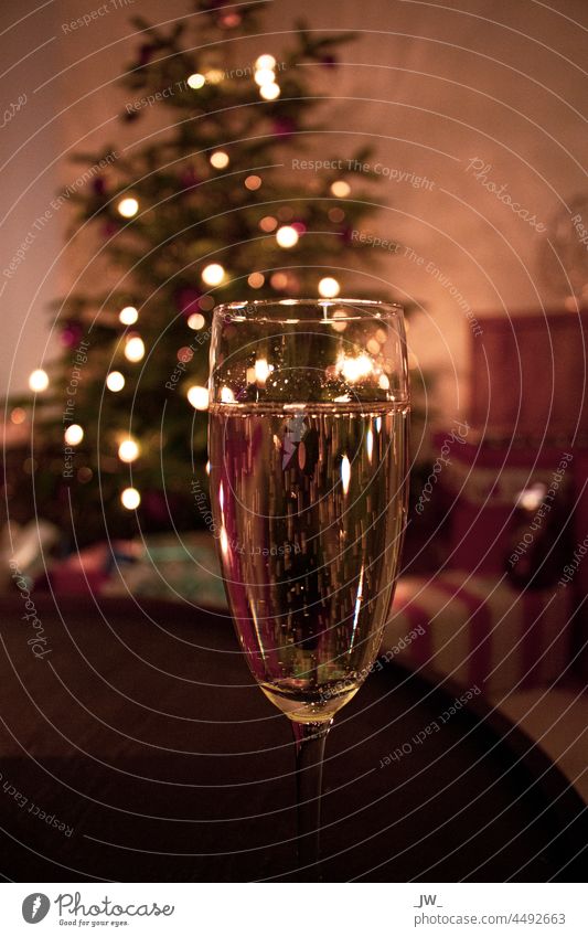 Champagne glass in front of a Christmas tree Christmas & Advent Sparkling wine Glass Feasts & Celebrations Alcoholic drinks New Year's Eve Deserted