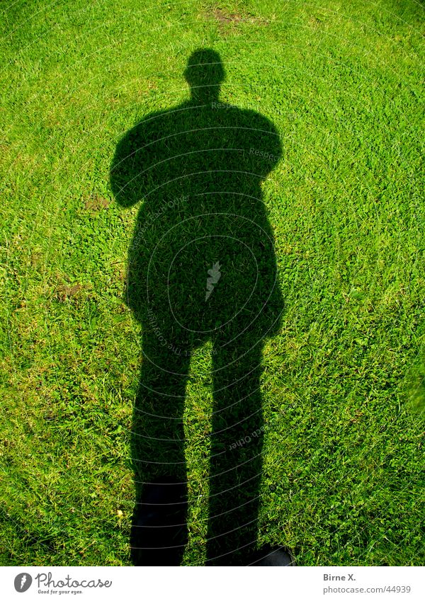 shadow Drop shadow Grass Man Silhouette Meadow Shadow Lawn obscurantist