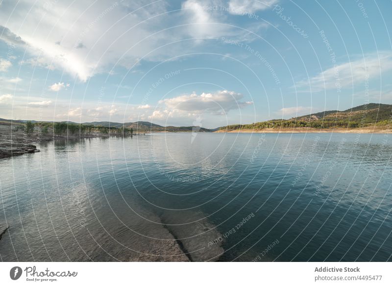 Lake flowing near green trees lake water nature coast waterside lakeside plant shore waterfront environment scenic aqua river surface natural scene scenery