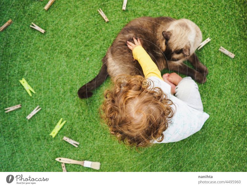 Baby playing with her cat friend baby child home free backyard siamese pet adorable love family enjoy life lifestyle fun funny relax relaxing grass leisure