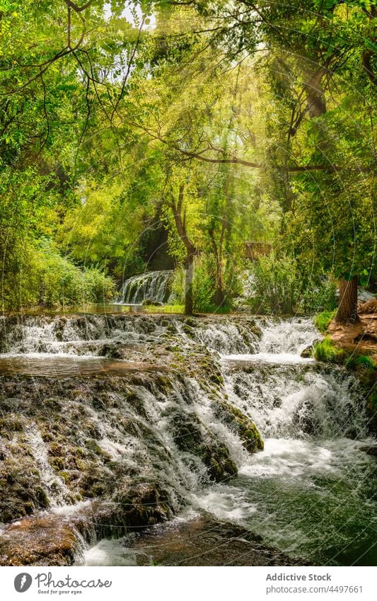 Waterfall under the trees waterfall nature flowing travel mountain outdoor river rock cascade forest landscape scenic green natural summer wet tropical