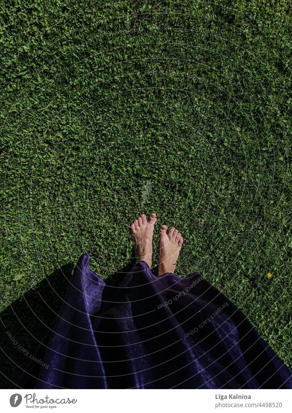 bare feet in grass photo taken from above Feet Barefoot Toes Human being Woman Summer Nature Colour photo barefoot Legs Relaxation Exterior shot Grass Dirty
