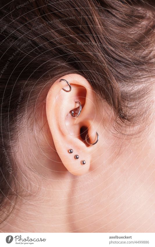 female ear with many earrings including helix, rook and tragus piercing Earring Jewellery ear jewellery feminine body part Piercing body jewellery Silver Woman