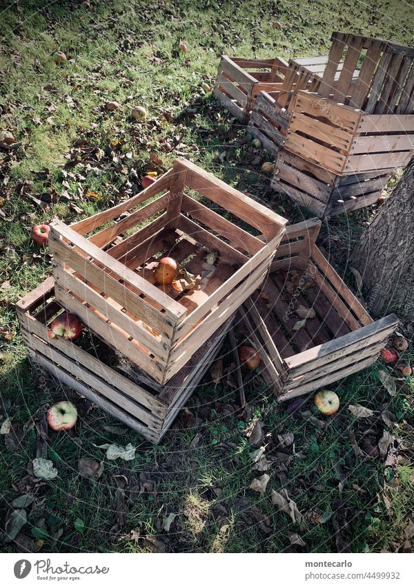 Empty wooden crates for apples waiting to be harvested apple box Box of fruit wooden boxes Harvest Meadow Apple harvest Pick Autumn Autumnal new harvest Fruity