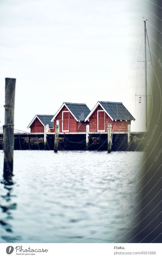Red huts at the harbour of Struer in Denmark coast Port City investor Navigation Wood stake Harbour Ocean North Sea Swede Stuart Water Exterior shot