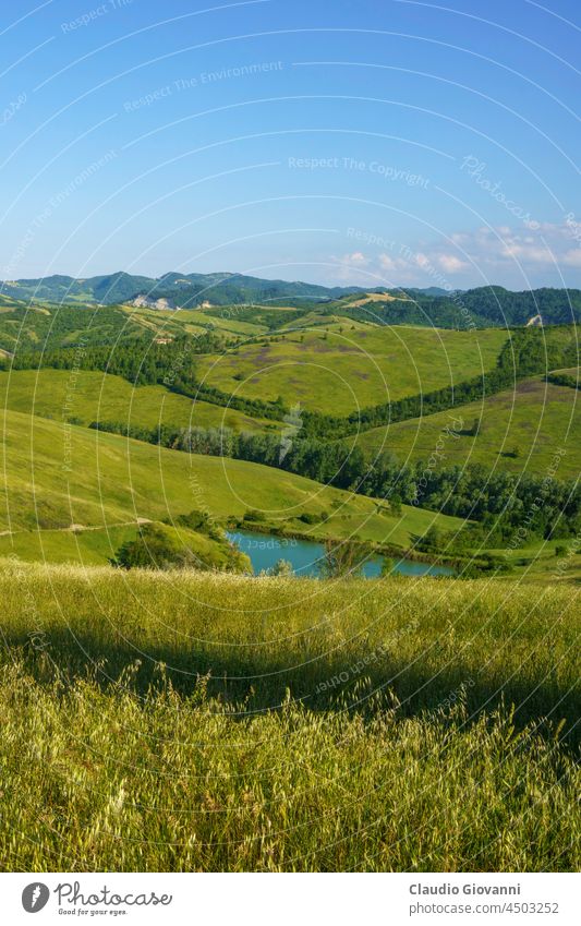 Rural landscape on the hills near Bologna, Emilia-Romagna. Botteghino di Zocca Europe Italy Monteveglio agriculture calanques country cypress exterior farm