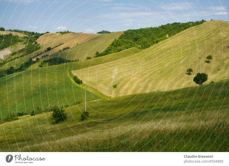 Rural landscape along the road from Sassuolo to Serramazzoni, Emilia-Romagna. Europe Italy Modena agriculture calanques country exterior farm field green hill