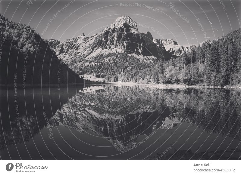 Reflection of a mountain massif in a mountain lake see mountains Nature Landscape Summer Black & white photo reflection Water Mountain Alps Lake Exterior shot