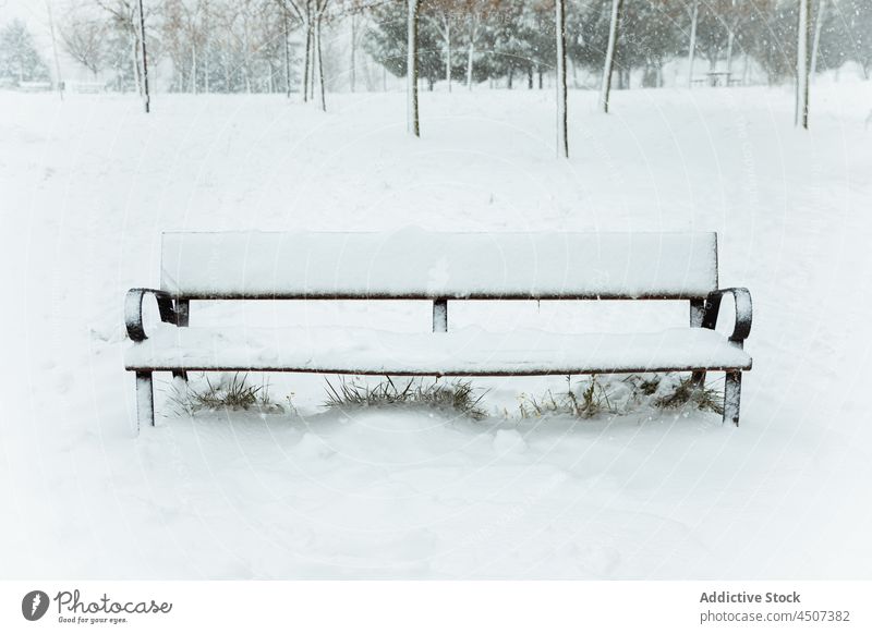 Bench covered with snow in winter park leafless tree bench wooden cloudy plant environment vegetate frost branch grow frozen cold season spain madrid europe