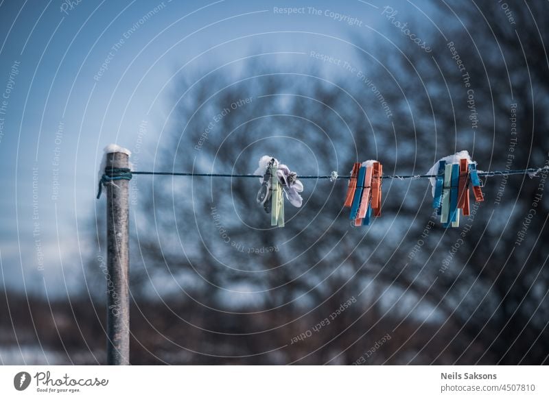 clothes pins on clothes wire outdoors in winter morning. Leafless branches in background blue cable clip close clothes-peg clothes-pin clothesline clothespin