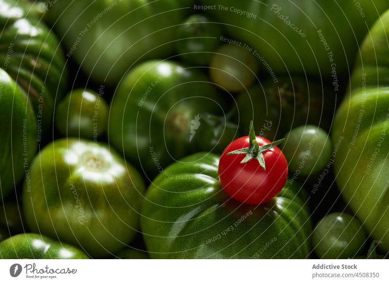 Cherry tomatoes placed on pile of green vegetables unripe harvest cherry tomato agriculture heap farm production food raw cultivate produce whole wholesome