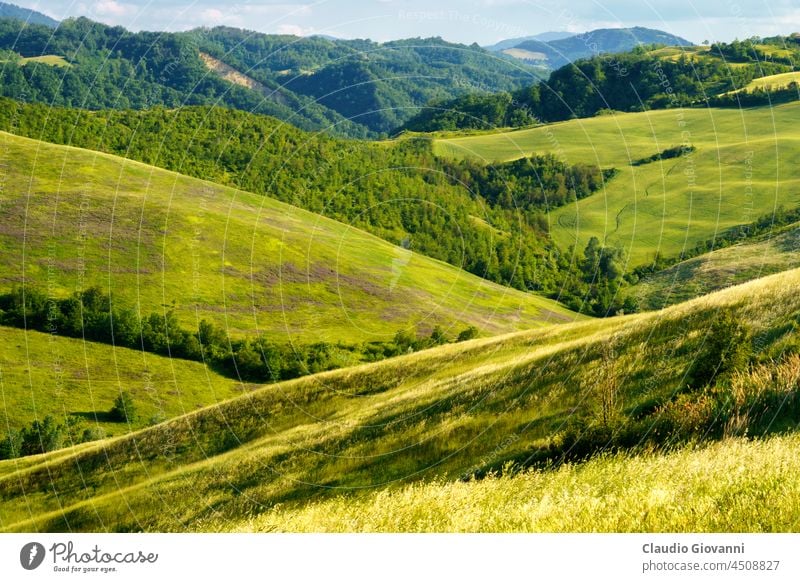 Rural landscape on the hills near Bologna, Emilia-Romagna. Botteghino di Zocca Europe Italy Monteveglio agriculture calanques country cypress exterior farm