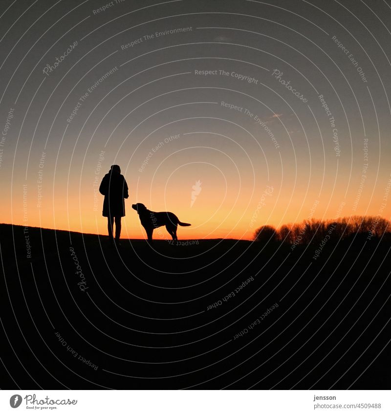 Woman with dog in front of sunset Silhouette Dog Shadow Sunset Black Labrador Pet Exterior shot Human being Man and dog Humans and animals silhouettes Calm
