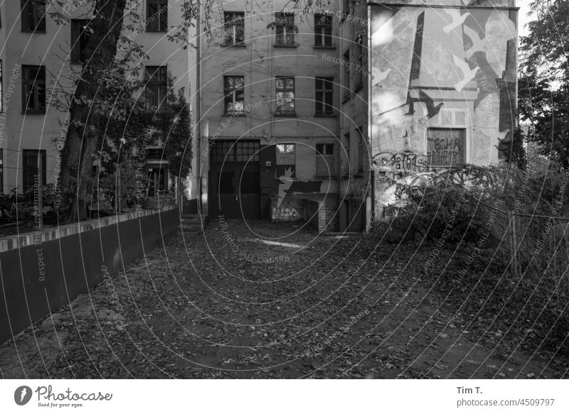 a Berlin backyard in autumn Backyard b/w Autumn Interior courtyard old Ruin Town Black & white photo Architecture Exterior shot Deserted Day Downtown Building