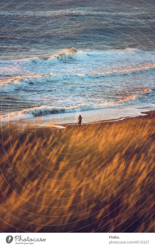 Person standing by the sea in the evening light person by oneself Lonely North Sea coast Waves Water Ocean Beach Nature Vacation & Travel Sand Landscape