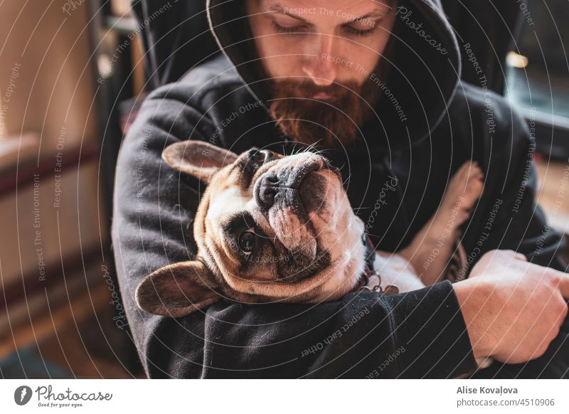 dog and owner french bulldog being held holding a dog animal portrait man holding a dog happy happy together holding a dog like a baby dog owner pet owner