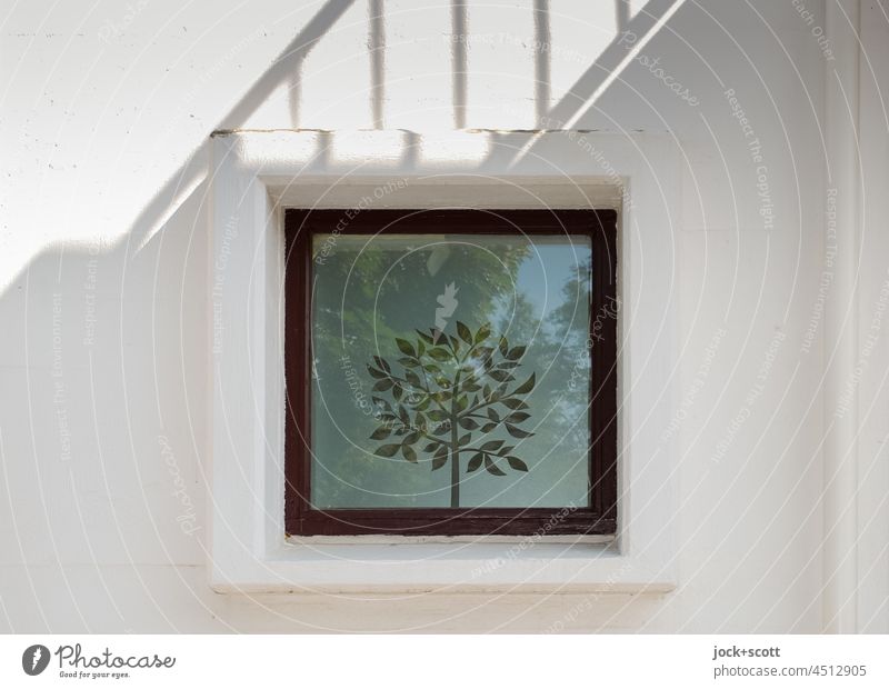 Glass decoration for windows, a tree Window Decoration Deciduous tree Shadow play Facade Wall (building) Square Reflection Sunlight rail Contrast Reykjavík