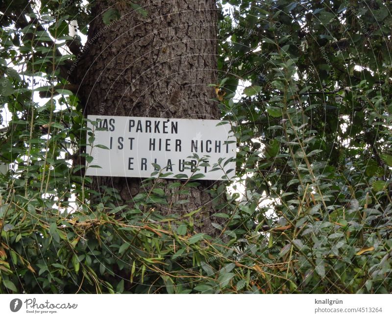 Parking is not allowed here Clearway Signs and labeling Signage Tree Green Hedge Exterior shot Warning sign Colour photo Deserted Characters Bans