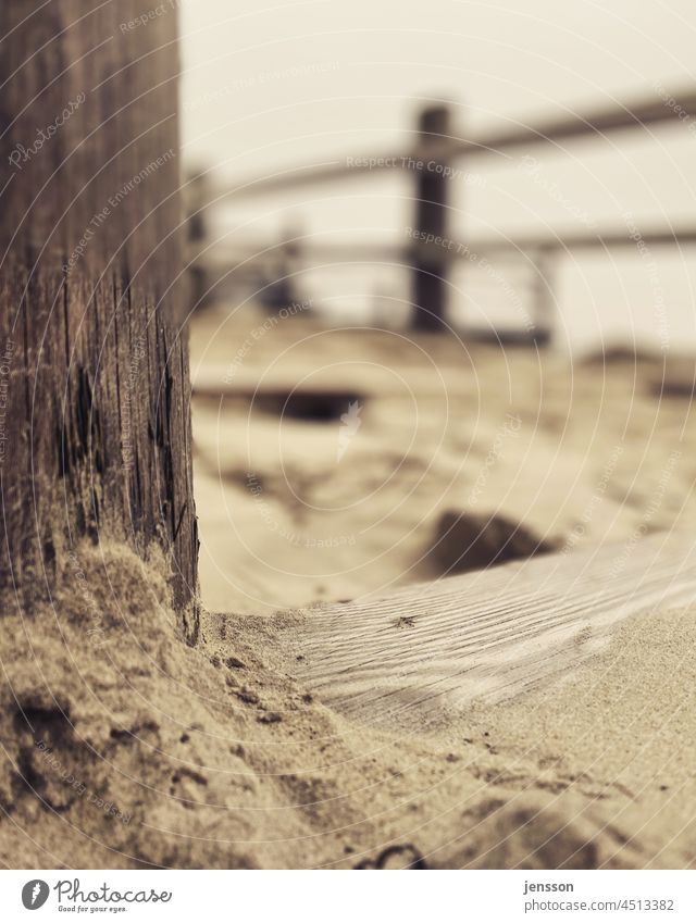 Wooden beams in the sand at a pile dwelling in St. Peter-Ording Wooden board Wood grain Structures and shapes Exterior shot Colour photo Deserted Pattern