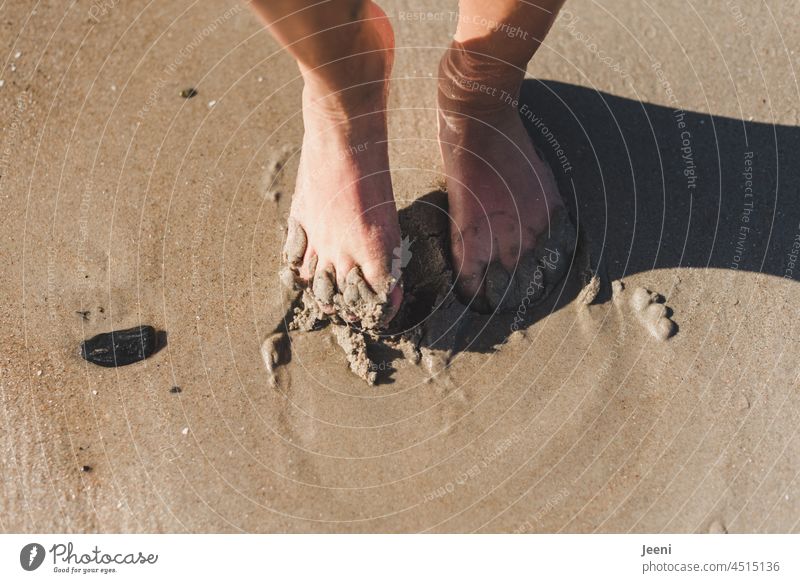 Do you feel the sand between your toes Barefoot Feet feet Toes Legs Human being Skin Naked Beach Sand Water Ocean Wet Cold Refreshment refreshingly coast Sun