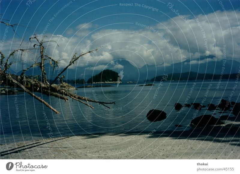 vancouver island Clouds Tree Ocean Relaxation Calm Canada Beach Island Sand Trip Vancouver Island Cloud formation Bank of clouds Cloud cover Mountain cloud