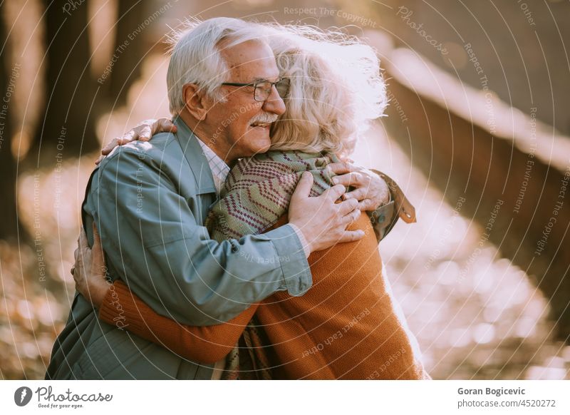 Senior couple embracing in autumn park aged aging beautiful casual cheerful elder elderly enjoyment grandfather grandmother gray happiness happy heterosexual